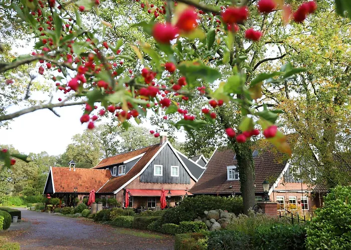 Het Ros Van Twente