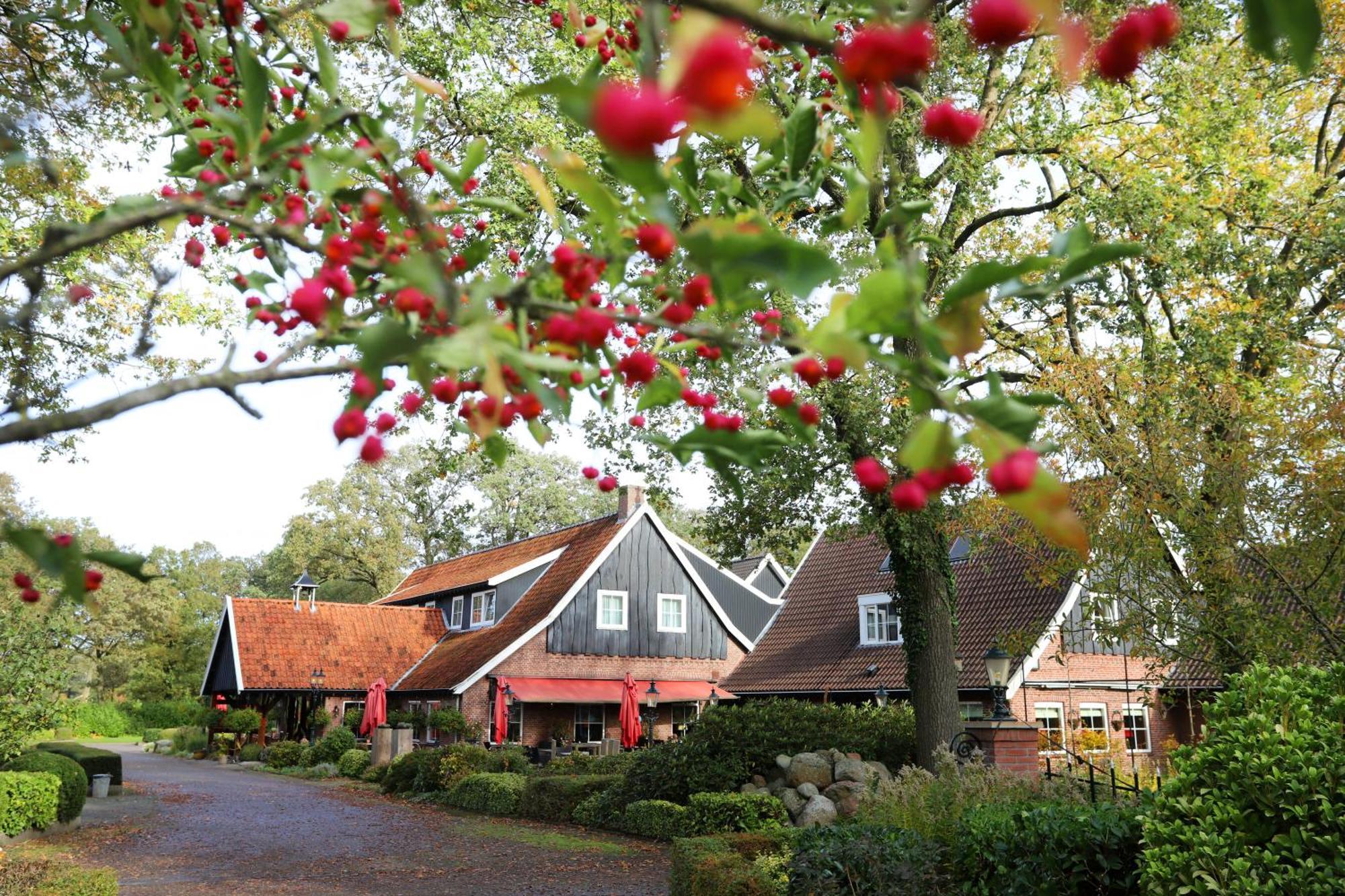 Het Ros Twente 4*